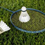 Image de Les fous du volant - badminton (Belligné)